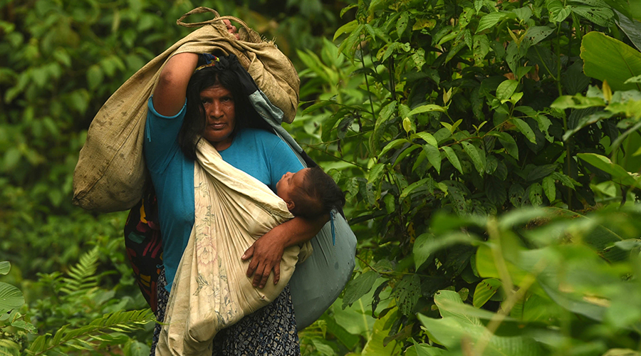 Mujer y niño en el Parque Nacional Madidi